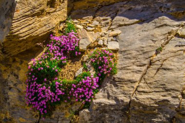 Göl sainte anne qeyras hautes Alpes Fransa