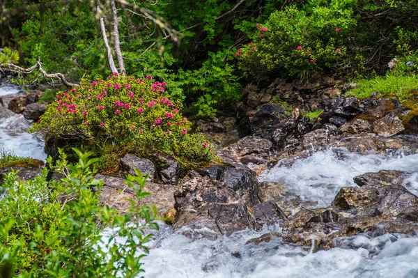 Ceillac queyras em hautes alpes em frança — Fotografia de Stock