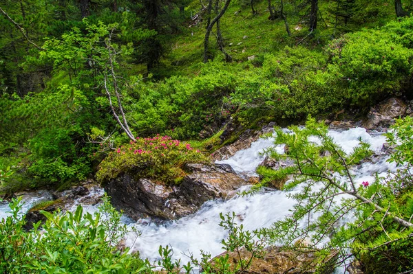 Ceillac queyras em hautes alpes em frança — Fotografia de Stock