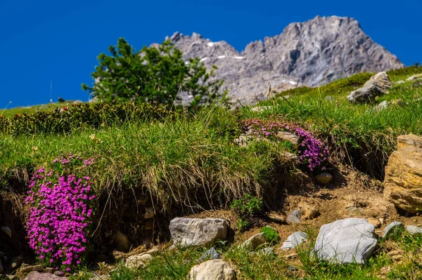 Lake sainte anne qeyras in de hautes alpes in Frankrijk — Stockfoto