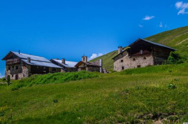 Bois noir ceillac queyras in hautes alpes in France