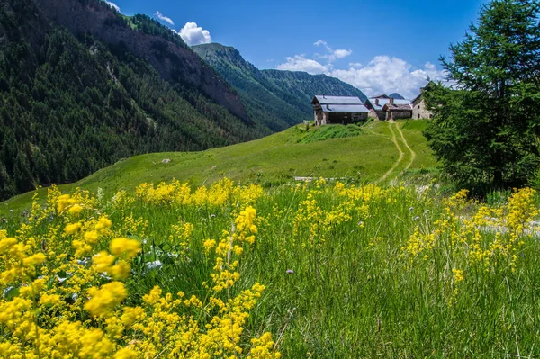 Bois noir lac queyras in hautes alpes in france. — Foto de Stock