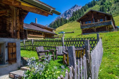 vaud İsviçre'taveyanna