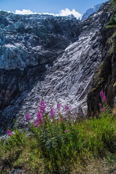 Ledovec argentiere, chamonix, Savojsko, Francie — Stock fotografie