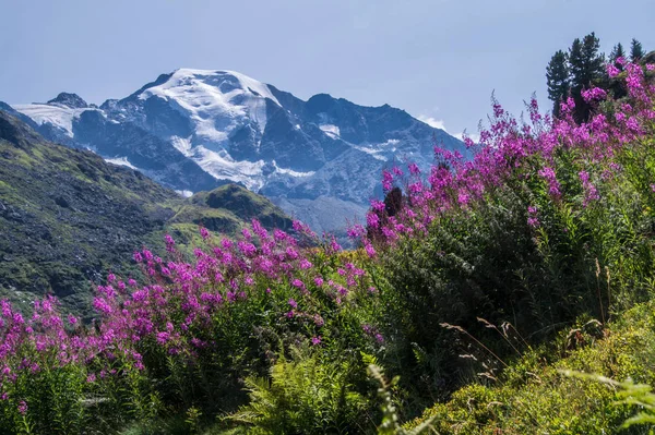 Casa de herramientas brunet, valais, suizos — Foto de Stock