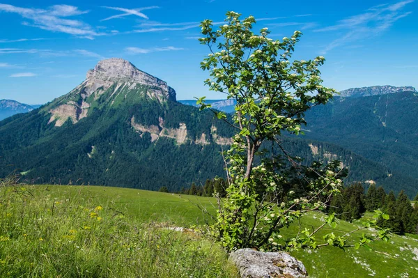 Pass pravouta, saint pierre de chartreuse, Isere, Fransa — Stok fotoğraf