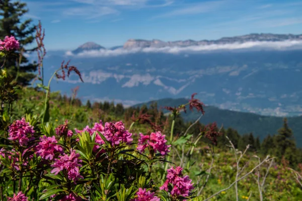 シャルトリューズ、イゼール、フランスの山岳 — ストック写真
