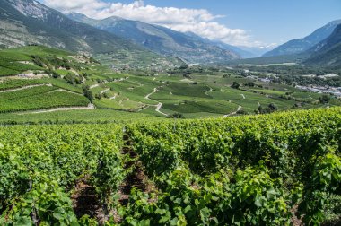 Salgesch, valais, İsviçre