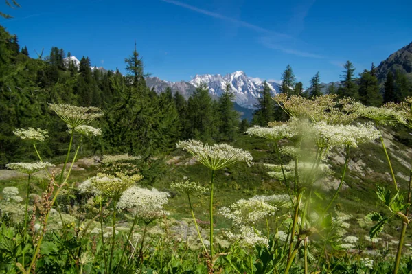 La thuile, val d 'aoste, italia — Foto de Stock