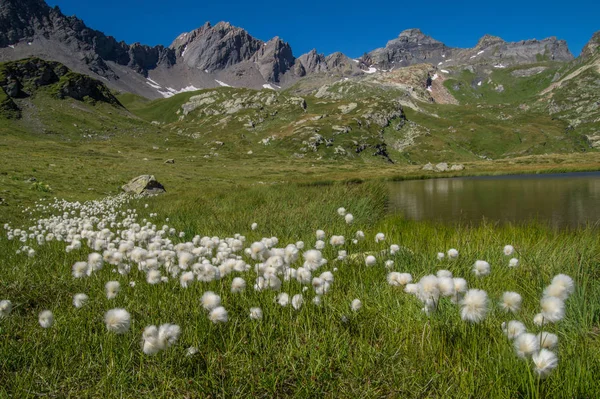 Lac verney, petit saint bernard, val d'aoste, italie — Photo