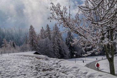 Trelechamps, chamonix, haute savoie, France