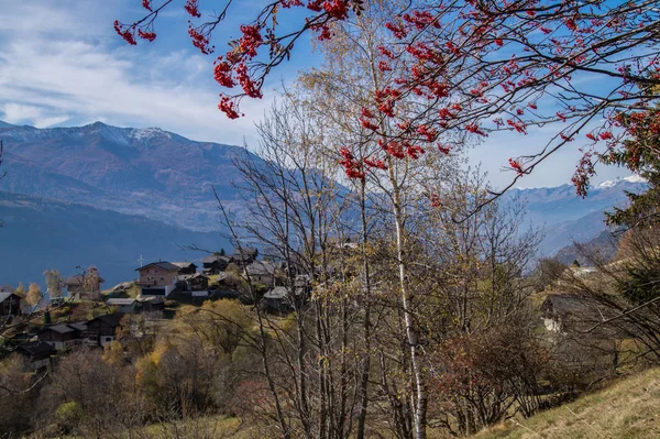 Finnen, valais, svájci — Stock Fotó