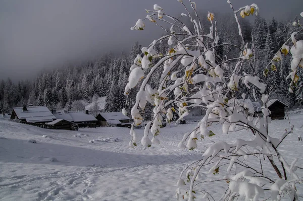 Montroc, Chamonix, випробування соусів, Франція — стокове фото