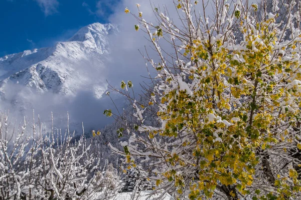 Trelechamps, chamonix, haute savoie, france — стоковое фото