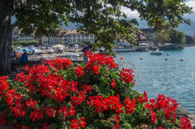 vevey,vaud, in swiss