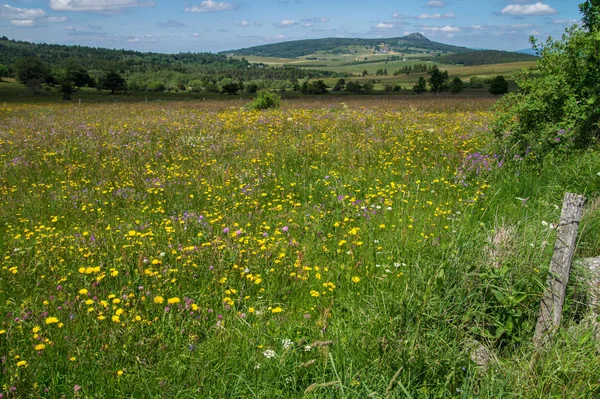 Champclause, haute loire, france — 스톡 사진