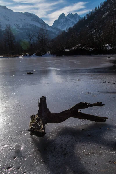 Lago congelado com madeira morta nos alpes franceses — Fotografia de Stock