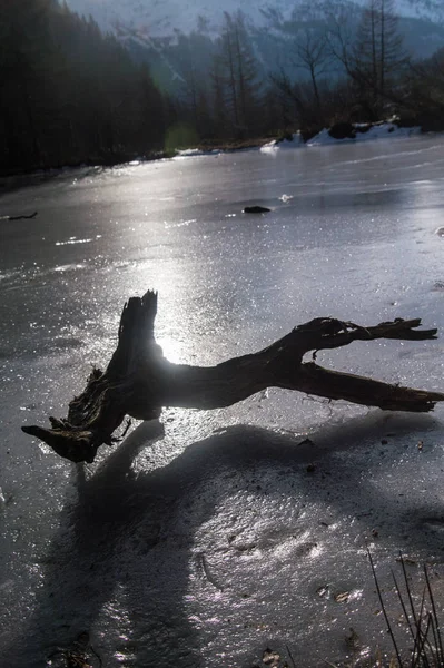 Lago congelado com madeira morta nos alpes franceses — Fotografia de Stock
