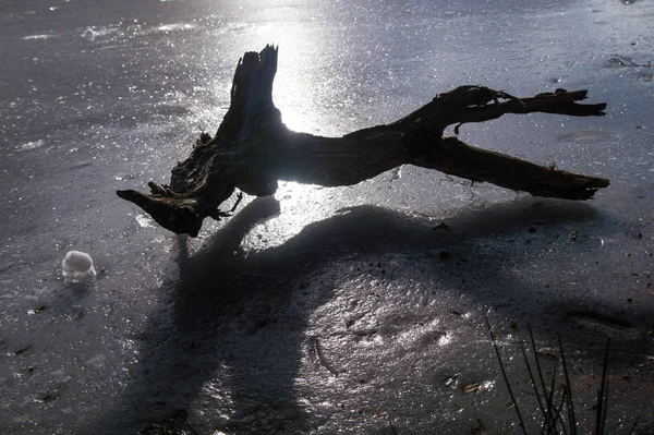 Lago congelado con madera muerta en los Alpes franceses — Foto de Stock