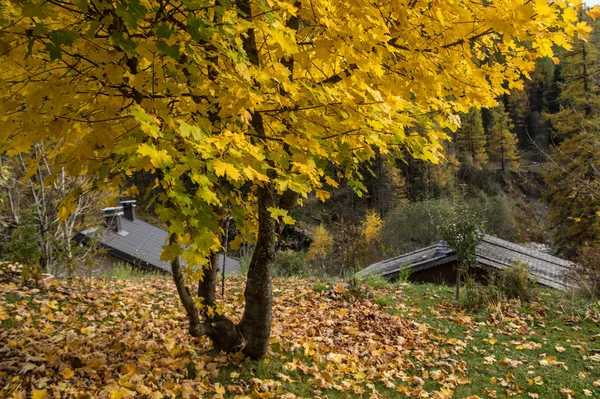 Outono nos alpes franceses — Fotografia de Stock