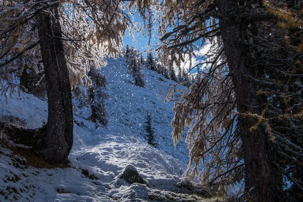 Otoño e invierno en los Alpes franceses —  Fotos de Stock