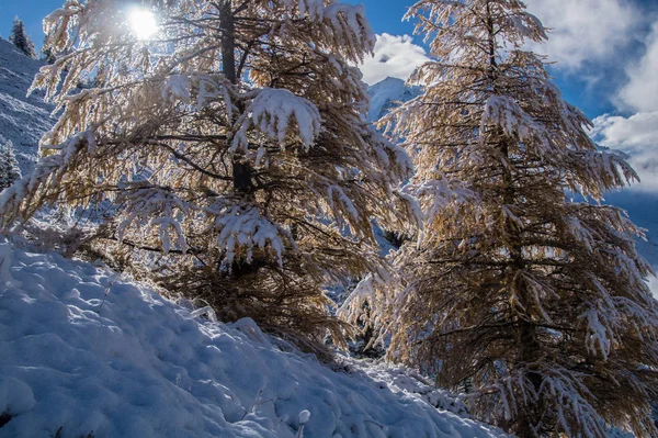 Outono e inverno nos alpes franceses — Fotografia de Stock