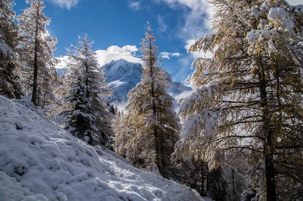 Outono e inverno nos alpes franceses — Fotografia de Stock