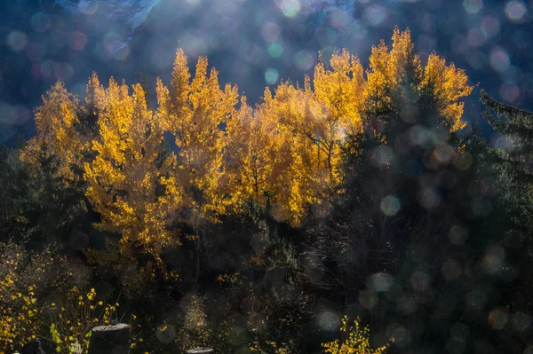 Fransız Alpleri'nde sonbahar — Stok fotoğraf