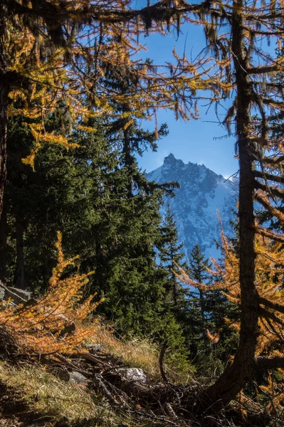 Otoño en los Alpes franceses —  Fotos de Stock