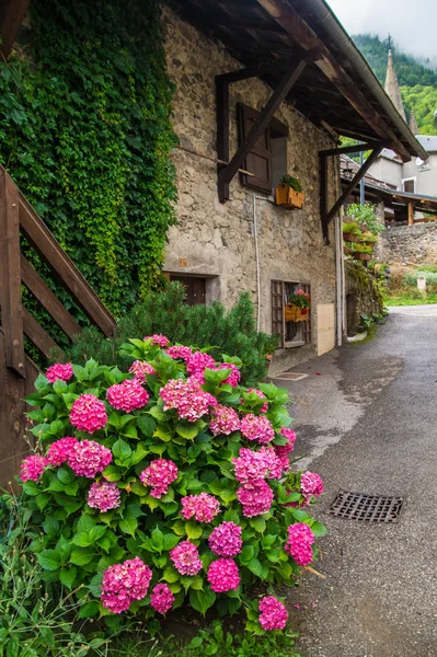 Valsenestre Isere Fransa — Stok fotoğraf