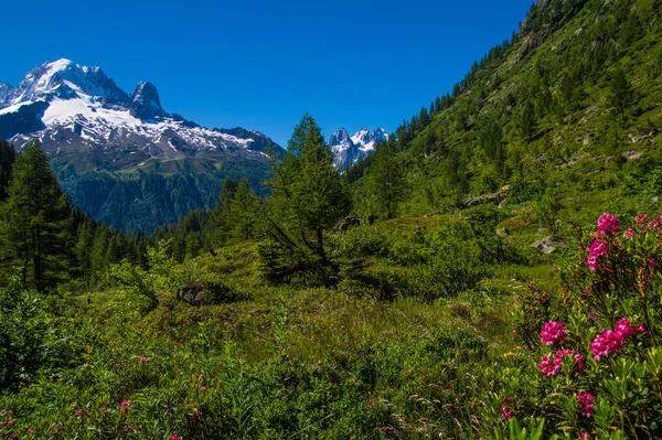 Col Des Montets Chamonix Haute Savoie France —  Fotos de Stock