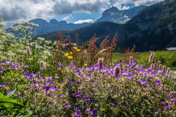 Solaison Bruzon Haute Savoie Franz — Stockfoto