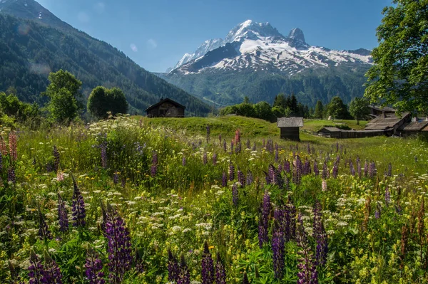 Telechamp in chamonix in haute savoie, France