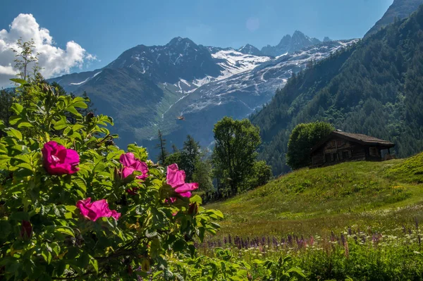 Trelechamp Chamonix Haute Savoie Francia — Foto de Stock