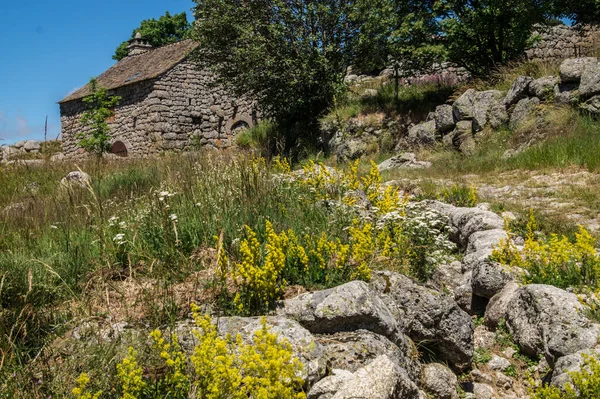 Bellecoste Lozere Francji — Zdjęcie stockowe