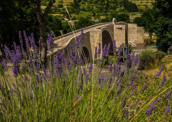 Quezac Lozere Franciaországban — Stock Fotó