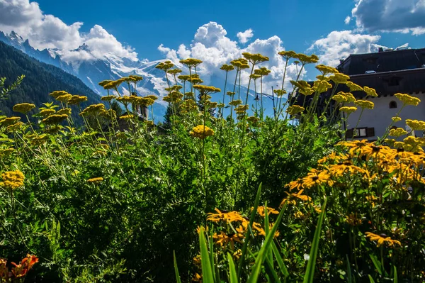 Argentiere Haute Savoie Francia — Foto Stock