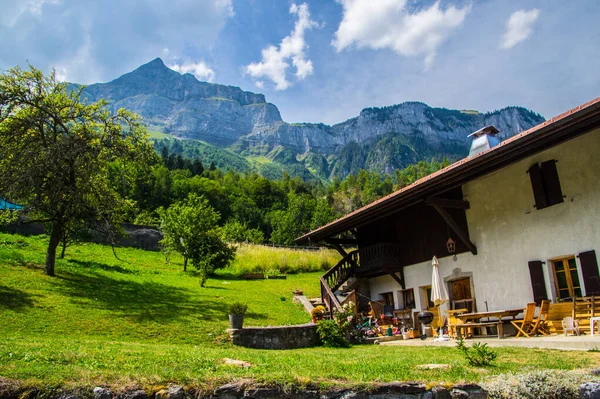 Körsbär Maglan Haute Savoie Frankrike — Stockfoto