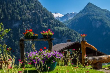 Fransa 'da valais finhaut
