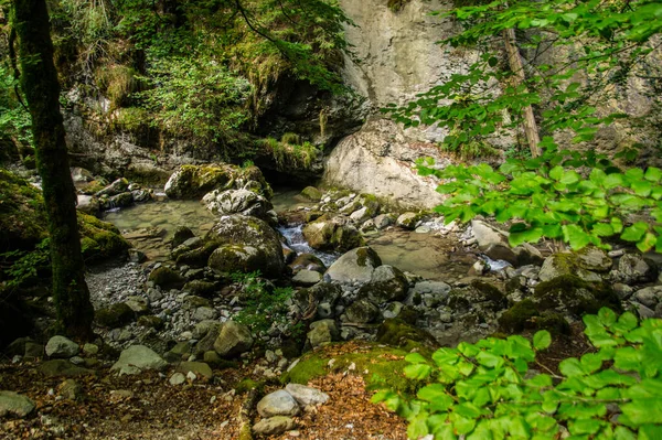 Desfiladeiro Bronze Mont Saxonnex Haute Savoie França — Fotografia de Stock