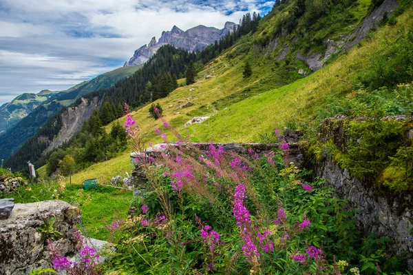 Barmaz Στο Valais Της Γαλλίας — Φωτογραφία Αρχείου