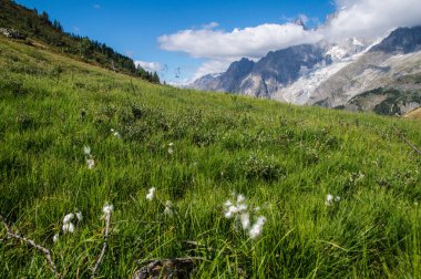 Val Gelincik, Val d 'aoste, İtalya