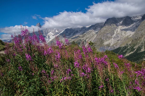 Val Gelincik, Val d 'aoste, İtalya