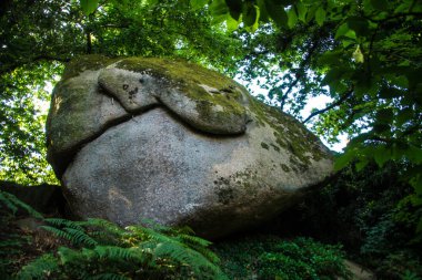 traouiero is ploumanac'h is perros-guirec is cote d'amor is france