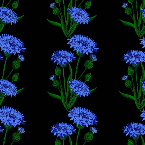 Cornflower fondo floral sin costuras aislado en el negro — Vector de stock