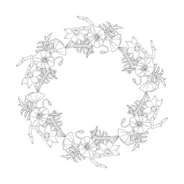 Haşhaş çiçek ve narcissus, çerçeve çiçek tomurcukları ve yaprakları 