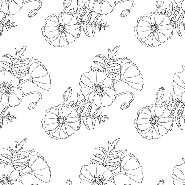 Fleurs de pavot fond floral sans couture isolé sur le blanc — Image vectorielle