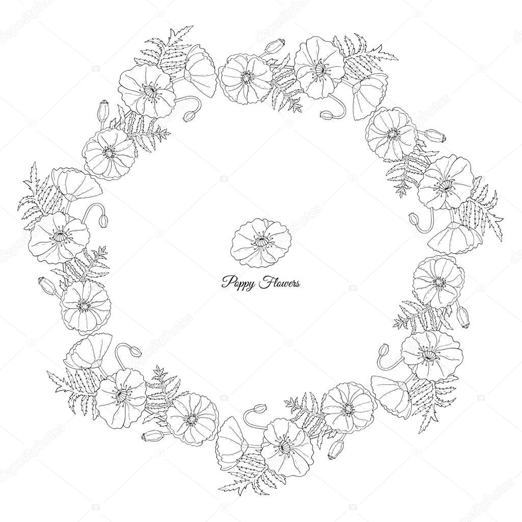 Floral frame with Poppy flowers, buds and leaves on white backgr