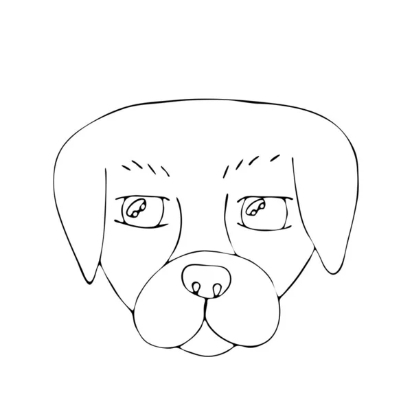 Vector coloring page outline of cartoon dog coloring book for ki — Stock Vector