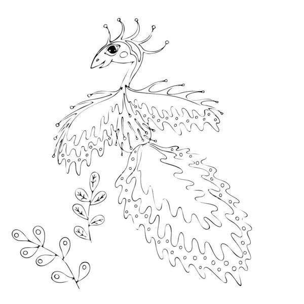 Desenho de página para colorir vetores de desenhos animados livro para colorir pássaros para k — Vetor de Stock
